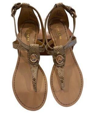 Coach Women’s Turnlock Leather Sandals Ingrid Snakeskin Snake Print Sz 7 NIB